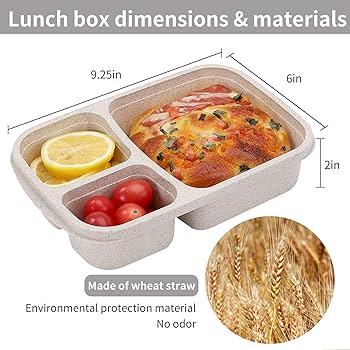 Kids Leakproof Snack Food Storage Container — Bento Box